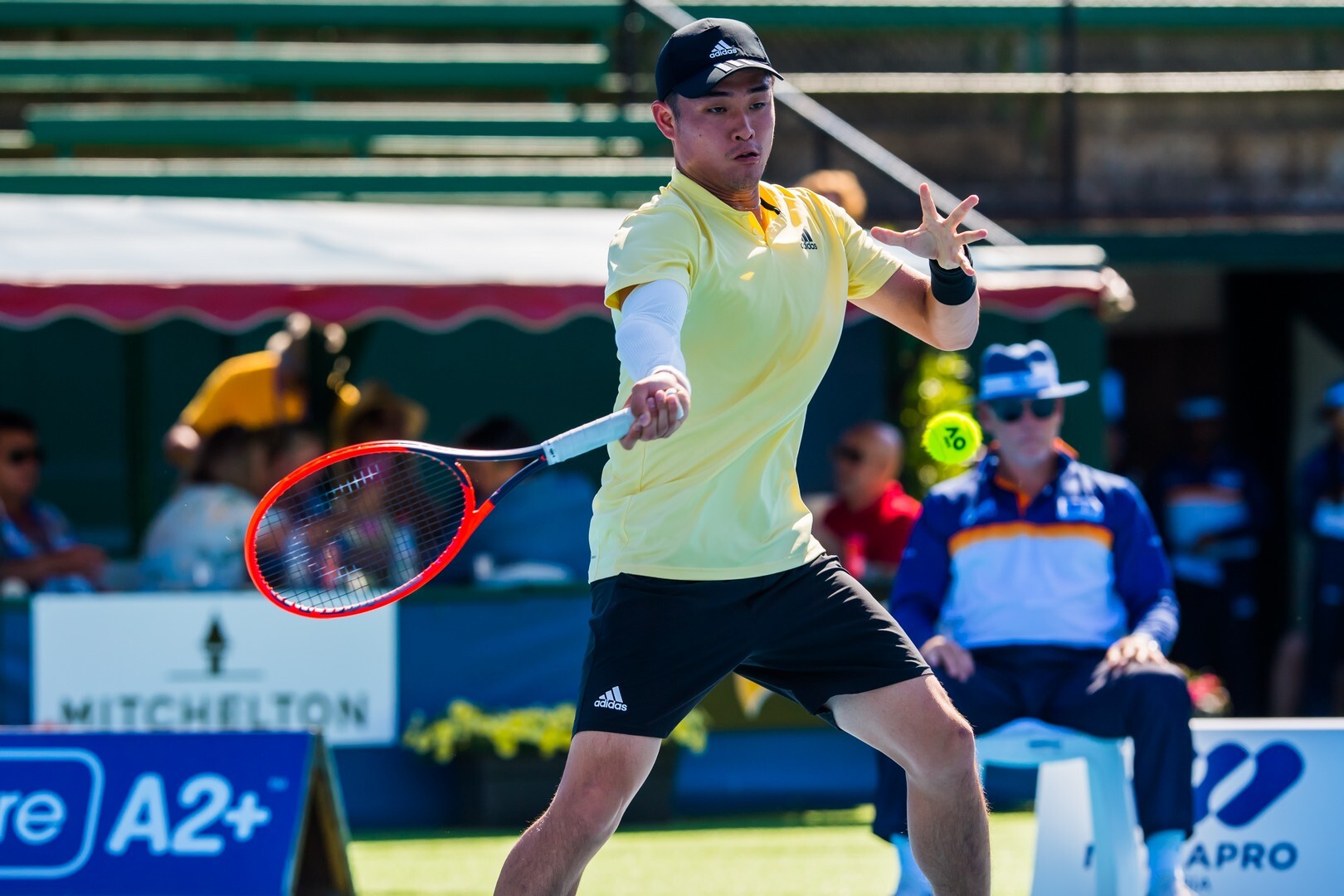 멕시코 오픈 관련 이미지