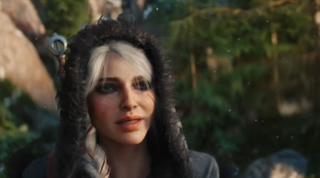 The Witcher 4