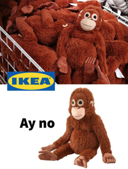 펀치 더 몽키는 누구인가? 도널드 트럼프보다도 더 유명해진 어린 원숭이