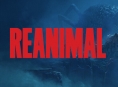 Reanimal 은 100만 장이 팔렸으며, 엠레이서는 이를 "장기적으로 발전시킬 만한 작품"으로 평가했습니다