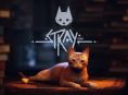 Stray을(를) Xbox에서 지금 사용할 수 있습니다.