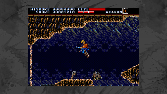 Earnest Evans Collection