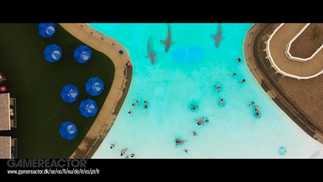 Water Park Shark