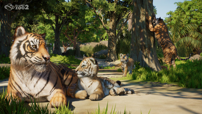 Planet Zoo 2 미리보기: 플래닛 공식을 한 단계 끌어올리는 야심찬 속편