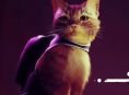 Stray