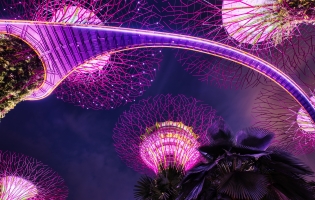 싱가포르는 e스포츠를 공식 스포츠로 인정하려고 합니다.