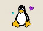 Linux 게임 붐은 현실입니다: 이제 Windows 게임의 90%가 플랫폼에서 실행됩니다.