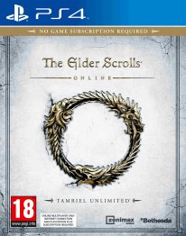 The Elder Scrolls Online