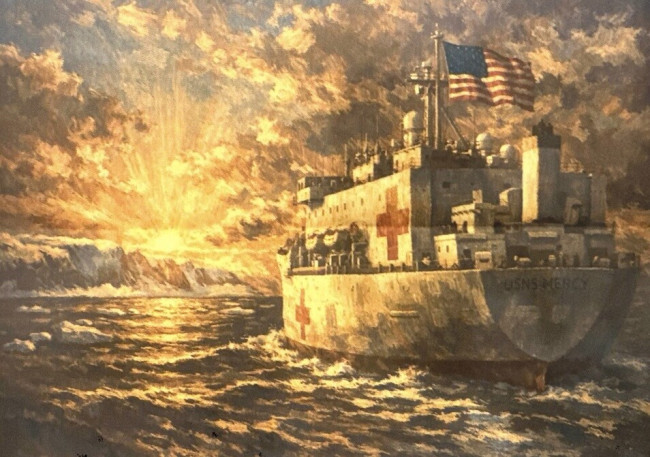 트럼프가 그린란드로 병원선박을 제공하지만, 그린란드 총리는 "사양할게요"